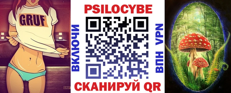 Галлюциногенные грибы Psilocybe  как найти закладки  Елабуга 