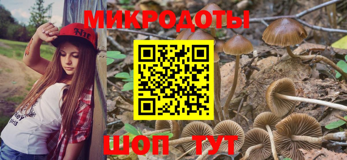 Псилоцибиновые грибы мицелий  Вход с VPN  Елабуга 