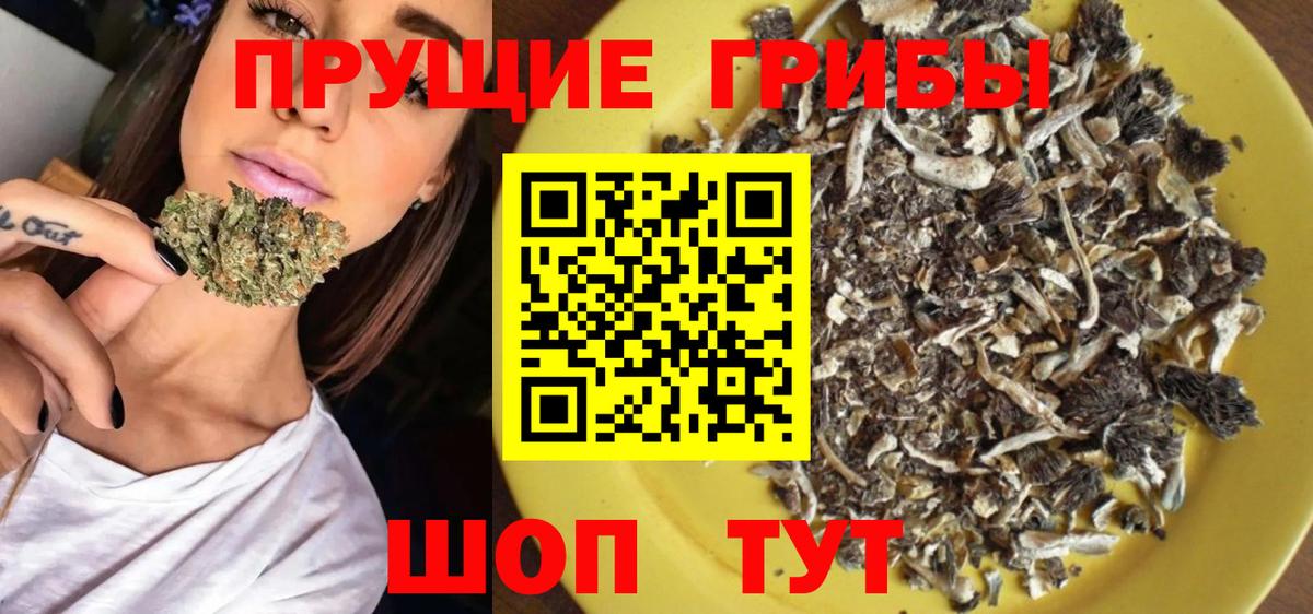 Галлюциногенные грибы MAGIC MUSHROOMS Елабуга